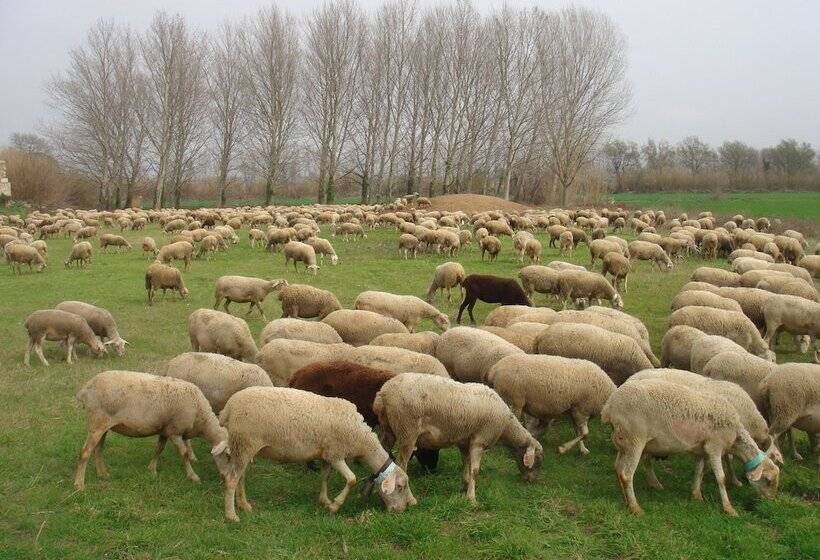 Hotel Can Carbó De Peralada