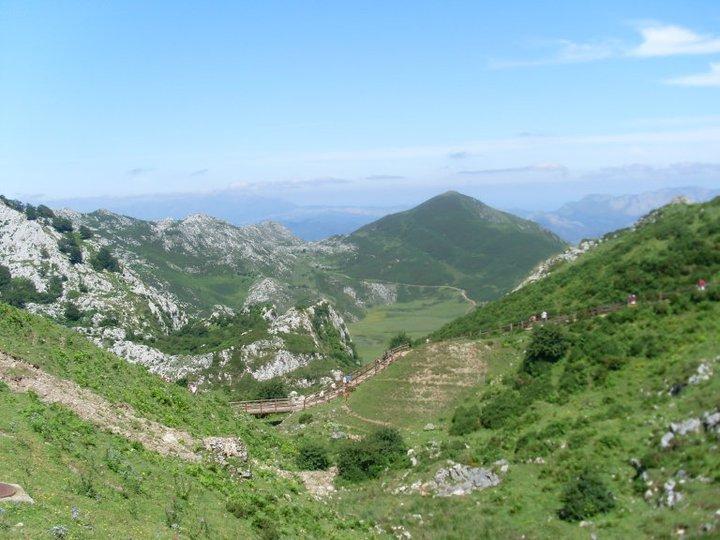 ホテル El Repelao