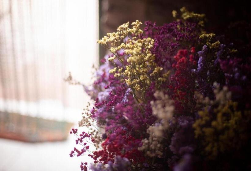 هتل Mas 1670 Adults Only