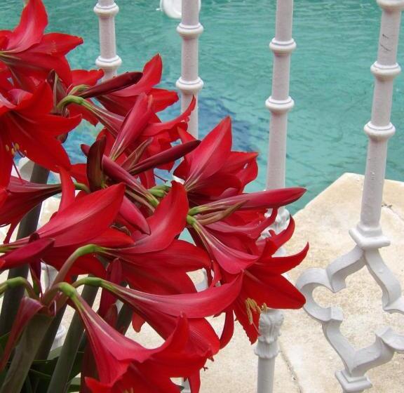 فندق Palacio Doñana , Rural & Luxury