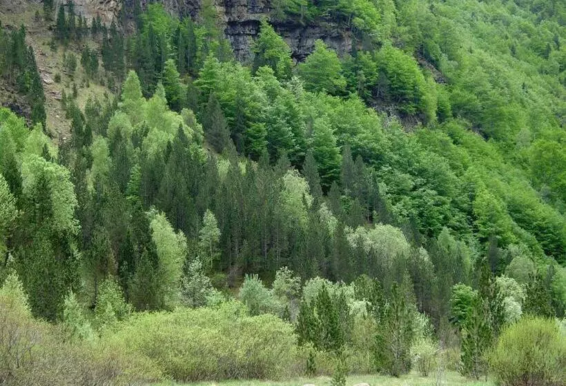 ホテル Villa Russell