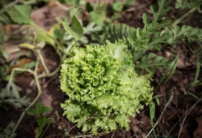 La Terrera Youth Hostel