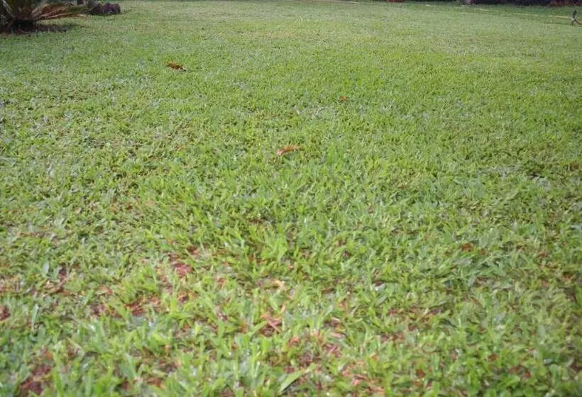 هتل Ferreira Resort