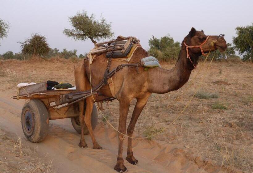 호텔 Shekhawati, A Boutique Stay