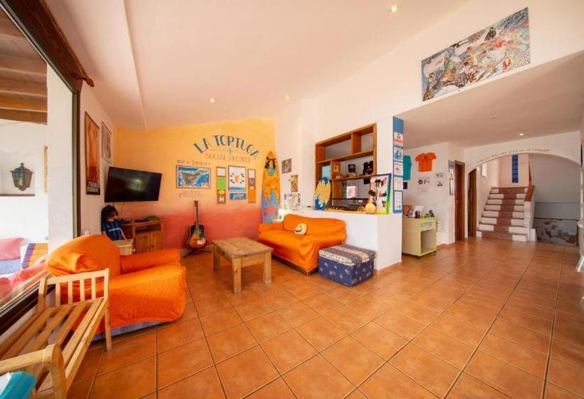 La Tortuga Hostel