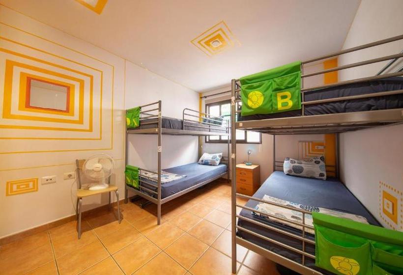 La Tortuga Hostel