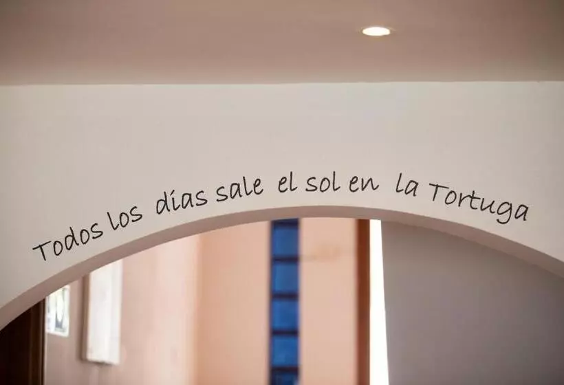 La Tortuga Hostel