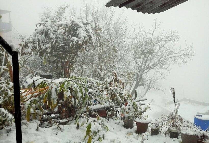 Shivalik Best Himalaya View Hotel In Almora