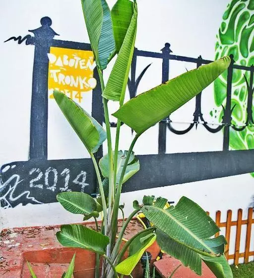 Tarragona Hostel