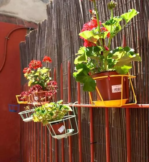Tarragona Hostel