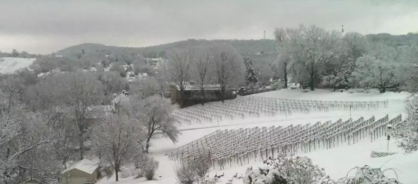 تختخواب و صبحانه Stone Hill Overlook