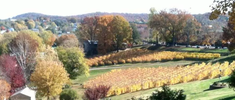 تختخواب و صبحانه Stone Hill Overlook