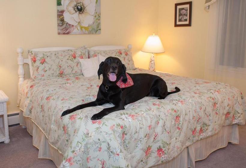 Cranberry Manor Bed And Breakfast Cape Cod