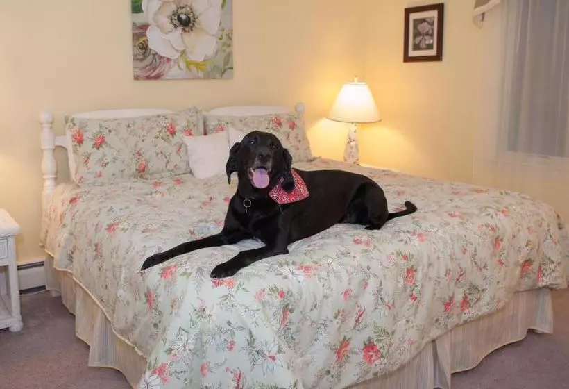 Cranberry Manor Bed And Breakfast Cape Cod