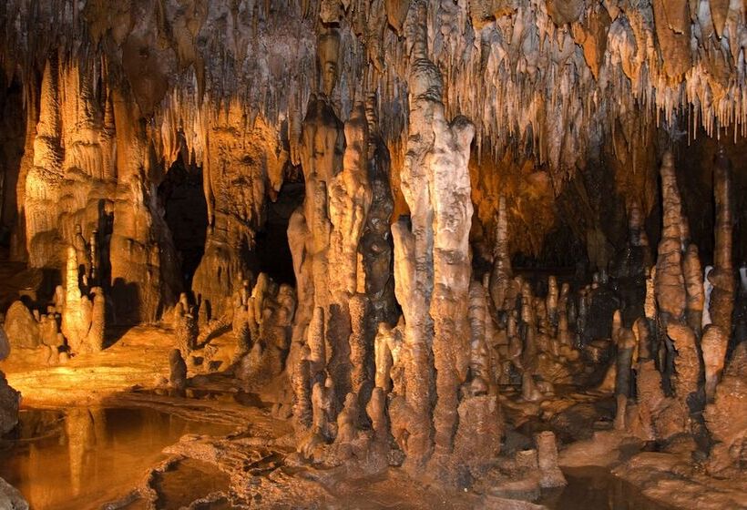 汽车旅馆  Briarwood Inn Of Geneva