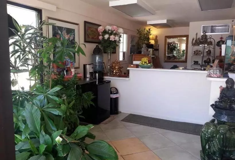 モーテル Colusa Riverside Inn