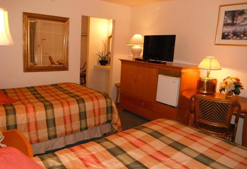 汽车旅馆  Colusa Riverside Inn