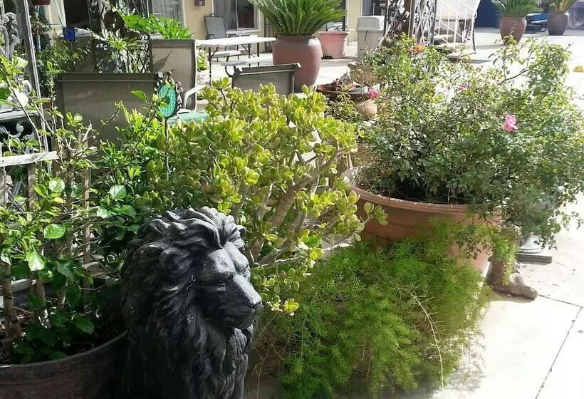 モーテル Colusa Riverside Inn