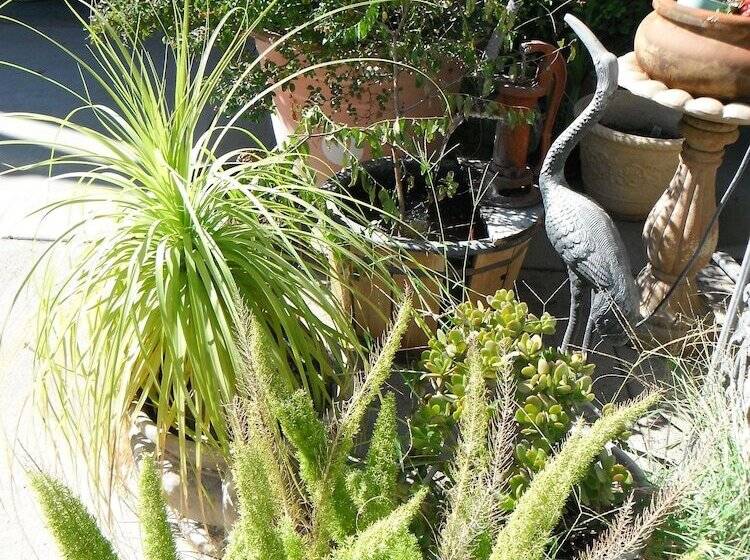 汽车旅馆  Colusa Riverside Inn