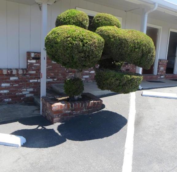 فندق على الطريق Old Marina Inn