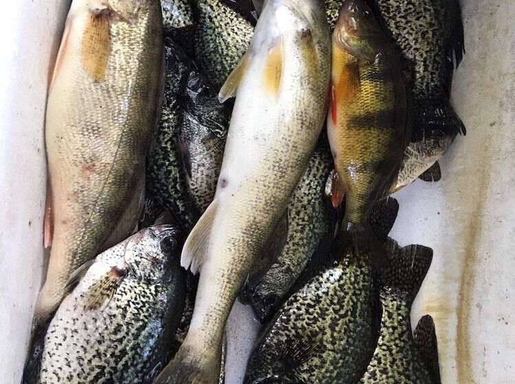 Rainbow S End Resort