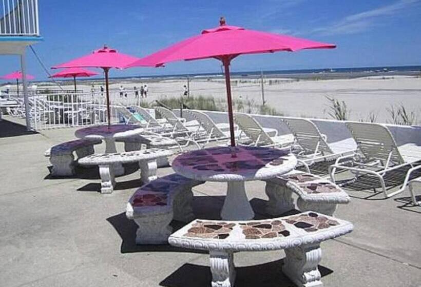 منتجع Apollo Motel