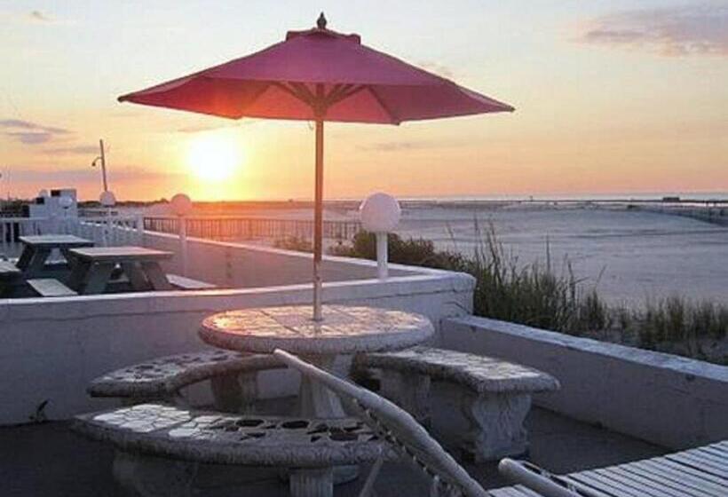 منتجع Apollo Motel