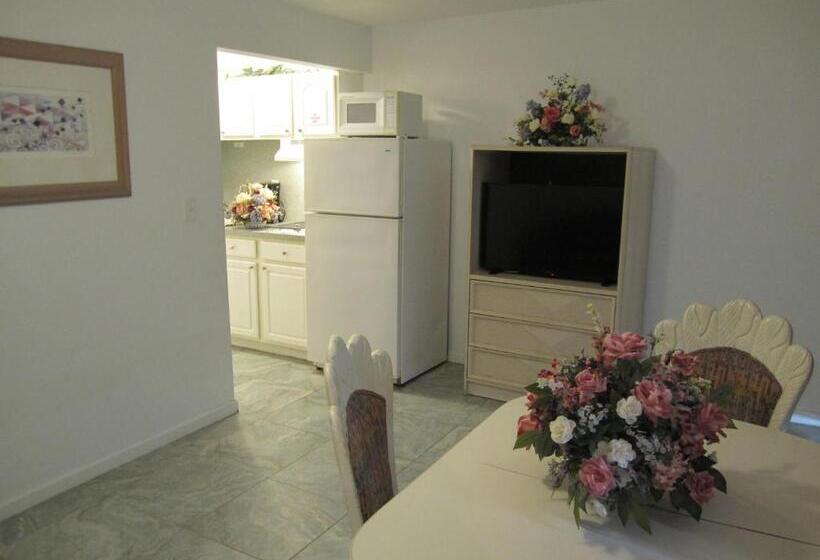 منتجع Apollo Motel