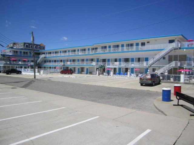 منتجع Apollo Motel