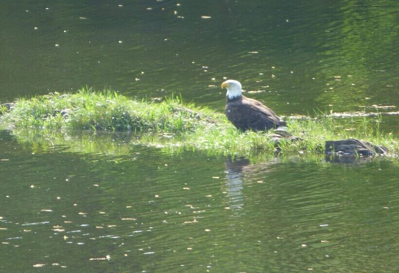 Bed and Breakfast Riverhouse