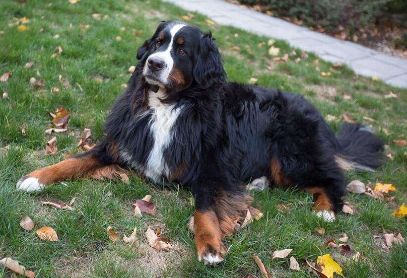 Bed and Breakfast Riverhouse