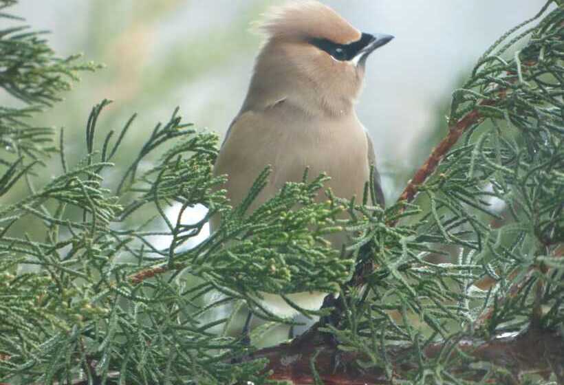 Bed and Breakfast Riverhouse