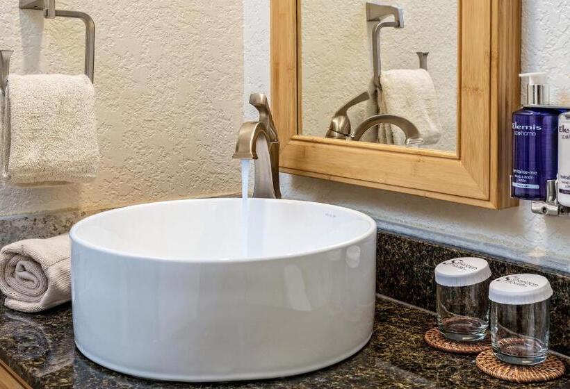 住宿加早餐 Sheridan House Inn Adult Only Accommodation