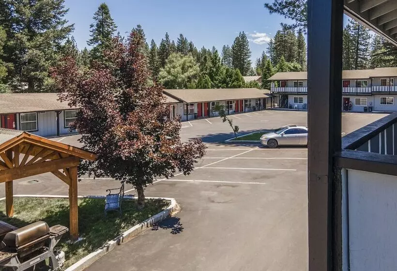 Charm Motel & Suites