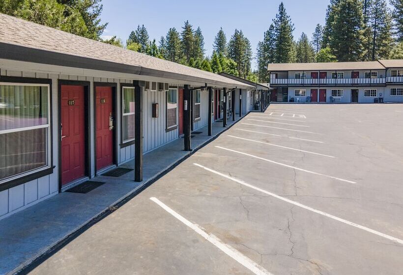 Charm Motel & Suites