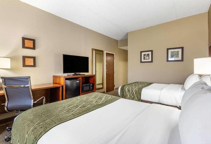 Отель Comfort Inn Aikens Center