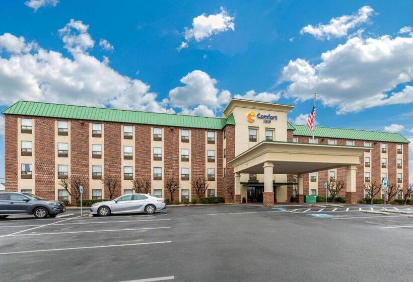 Отель Comfort Inn Aikens Center