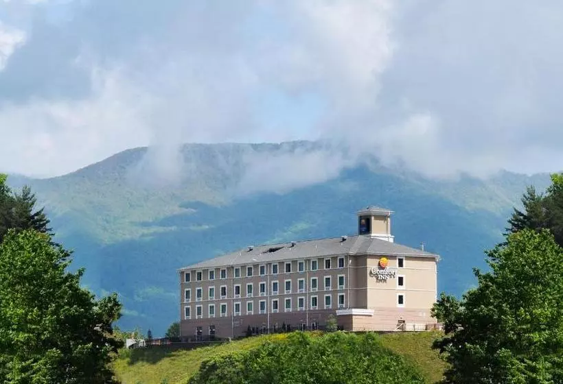 Hotelli Comfort Inn Sylva   Cullowhee