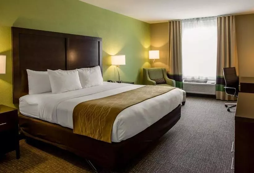 Hotelli Comfort Inn Sylva   Cullowhee