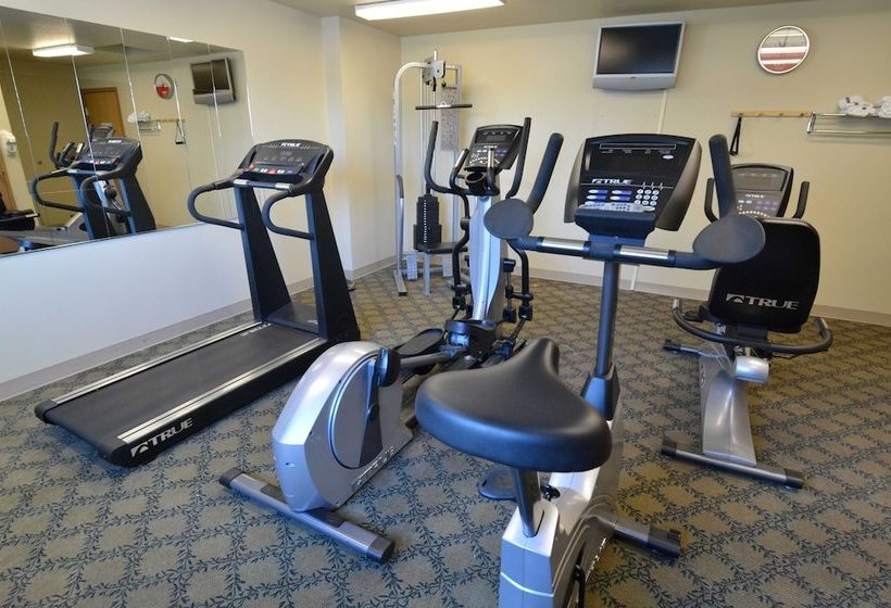 فندق Quinault Sweet Grass