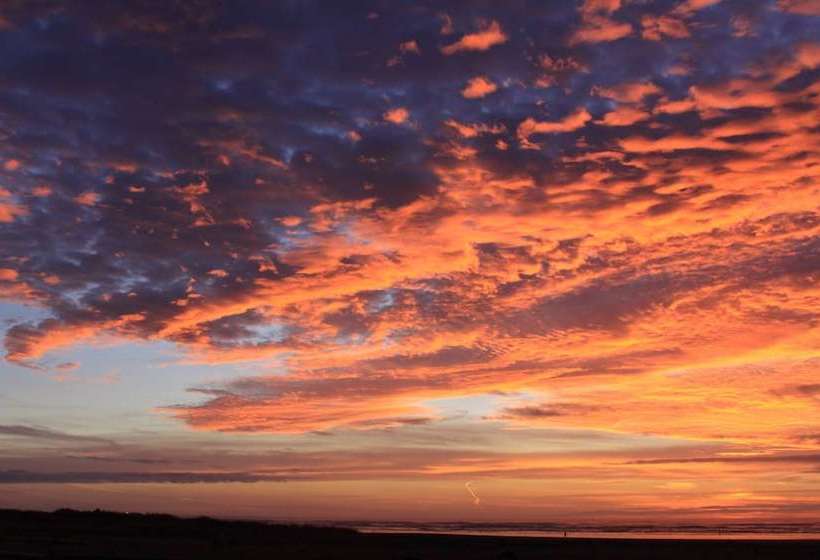 فندق Quinault Sweet Grass