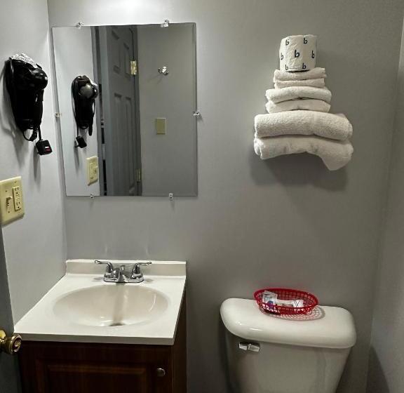 Мотель Relax Inn  Saginaw