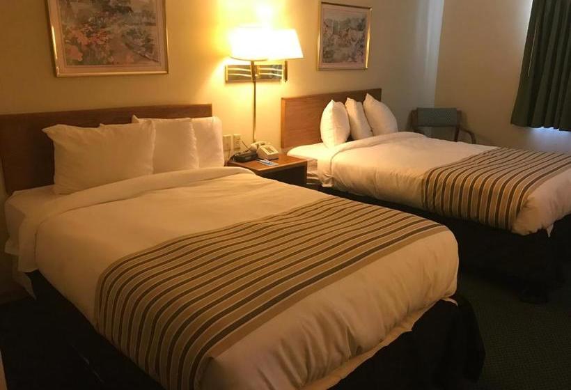 מוטל Rodeway Inn