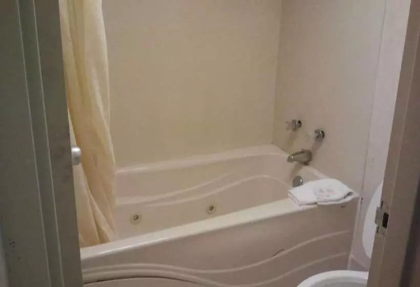モーテル Studio 9 Inn & Suites