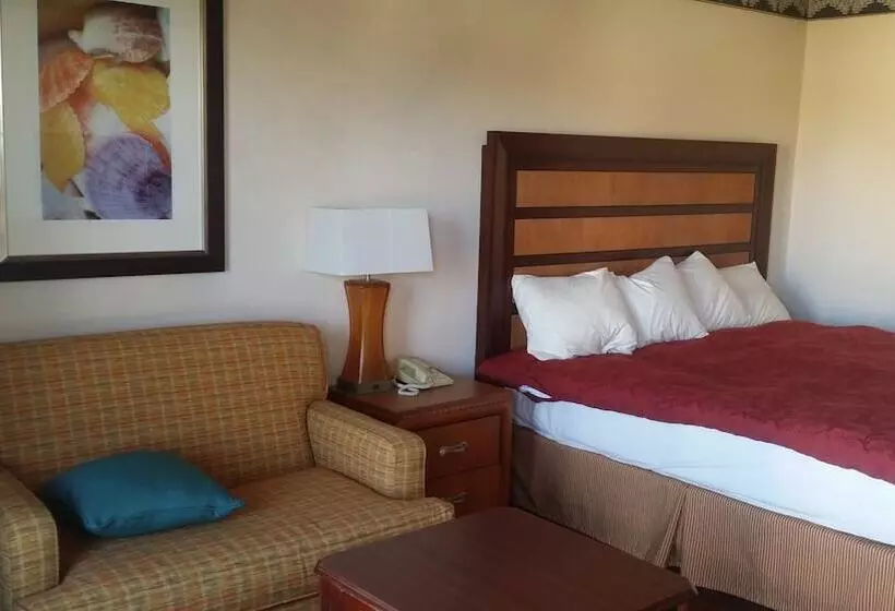 モーテル Studio 9 Inn & Suites