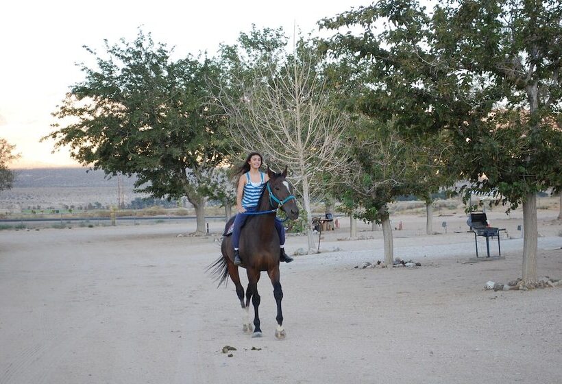 Olancha Rv Park And Motel