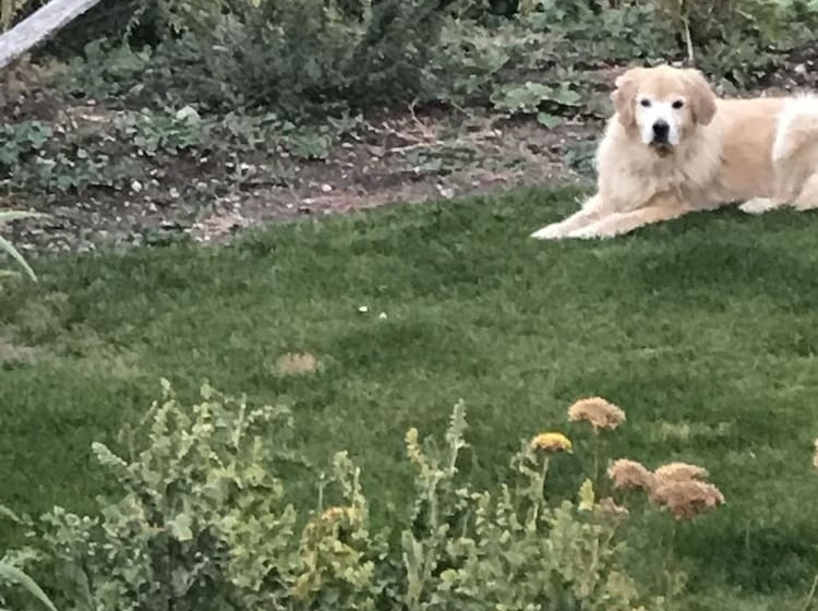 Old Taos Guesthouse B&b