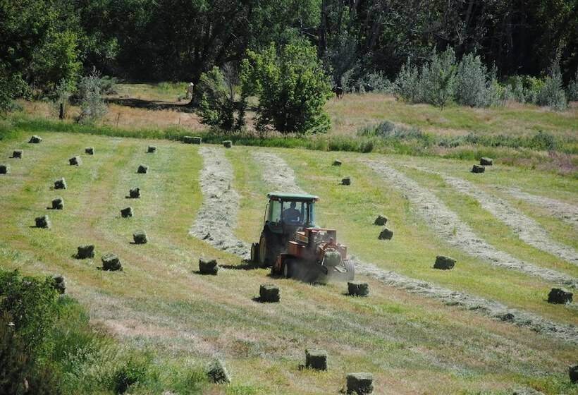 Old Taos Guesthouse B&b