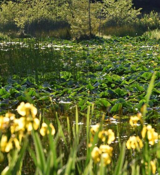Otter's Pond Bed And Breakfast