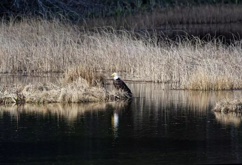 Otter's Pond Bed And Breakfast